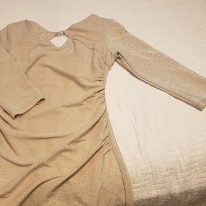 Sparkly Champagne Gown